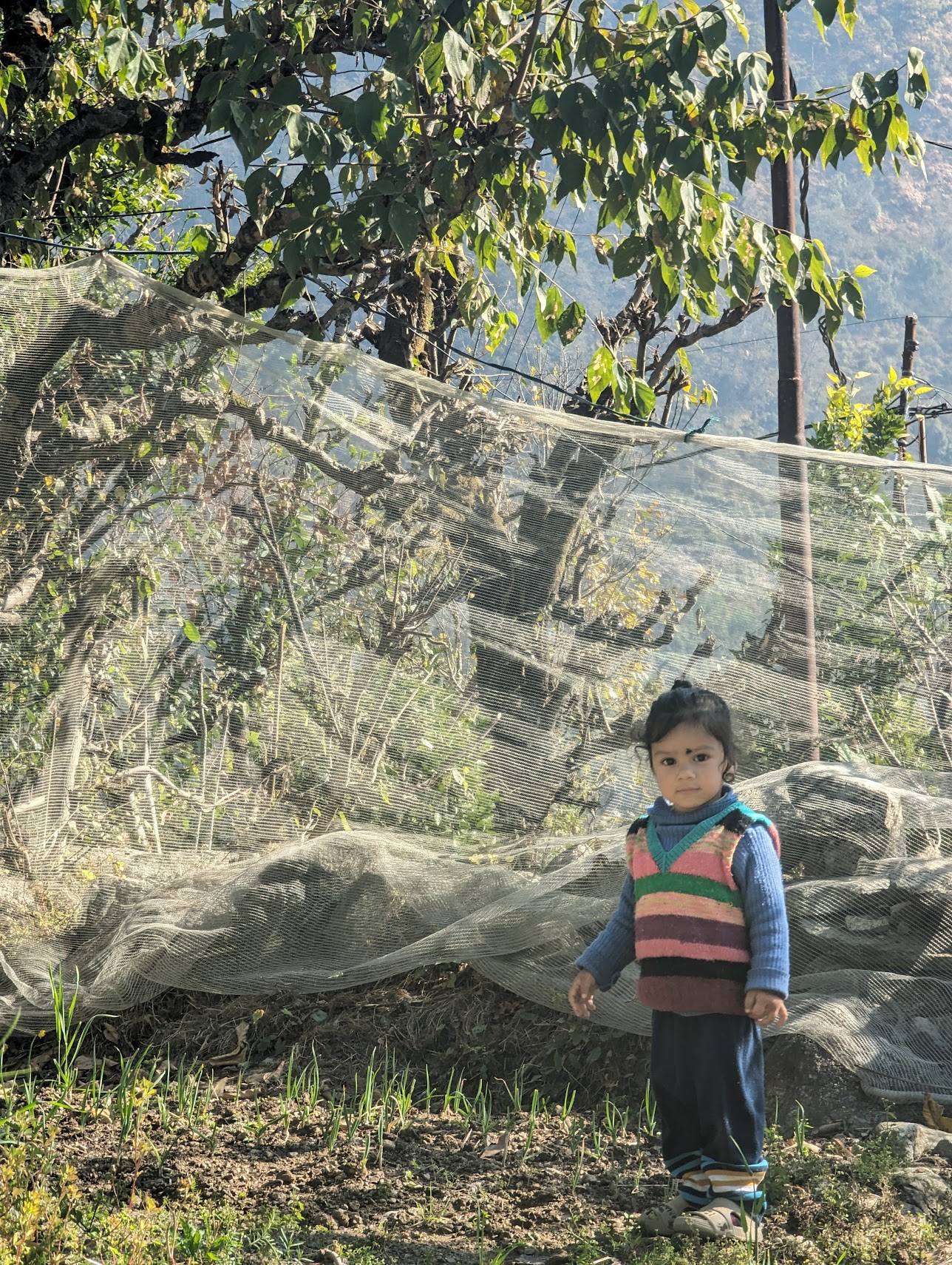 Baby Vedu's Beautiful Portrait